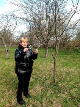На малюнку жінка роздивляється гілки дерева