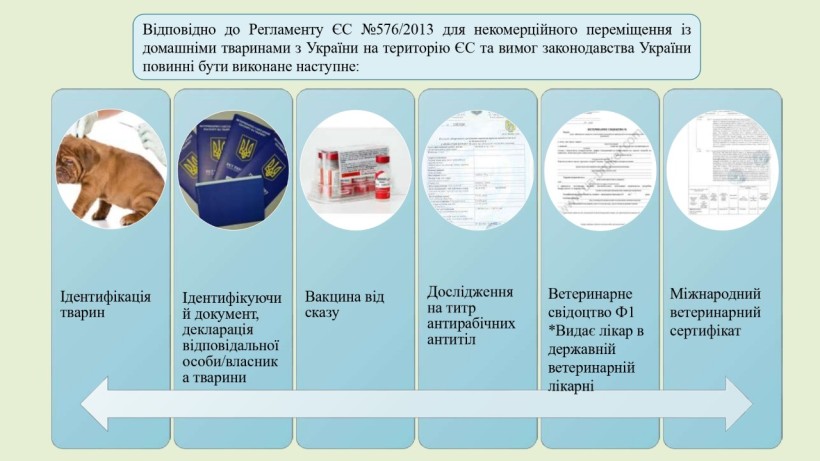 На малюнку зображено текст