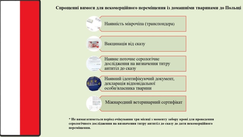 на малюнку зображено текст