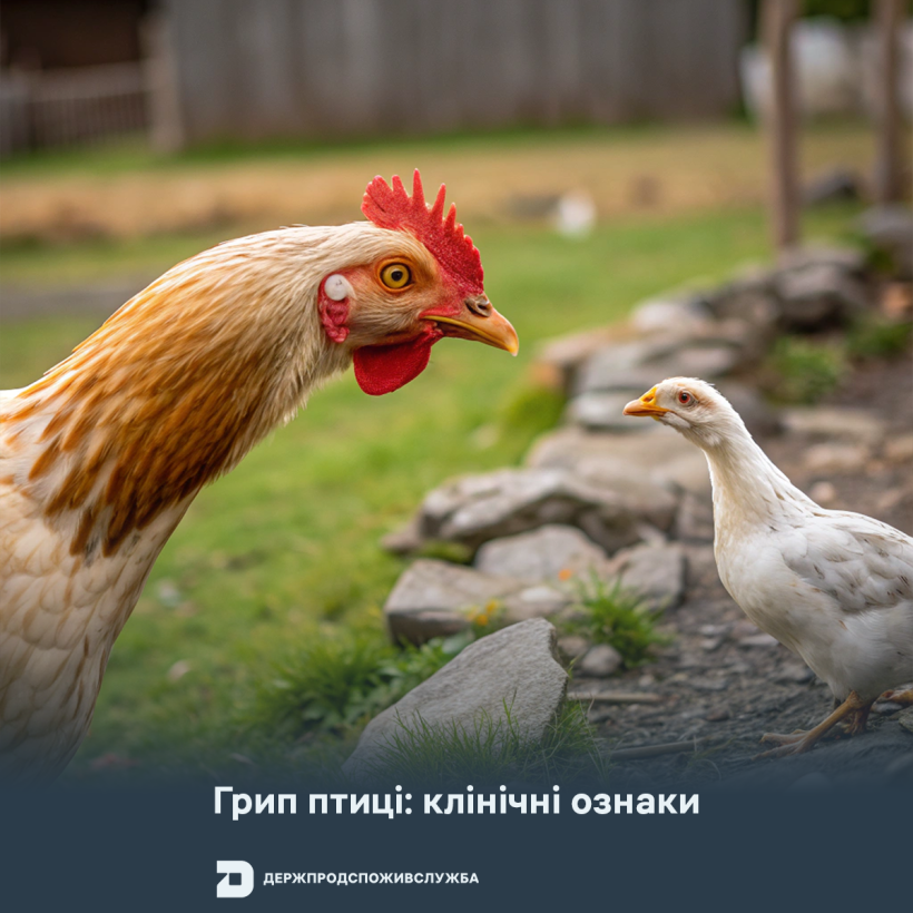 https://dpss.gov.ua/storage/app/resources/resize/820_360_0_0_auto/img_44253049fa35f8c5dc79f8d984044049.png