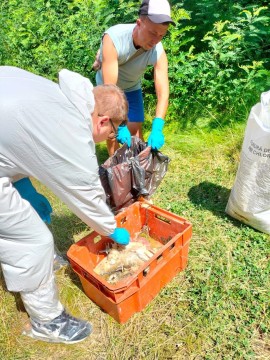 на фото дві людини складають рибу в ящики