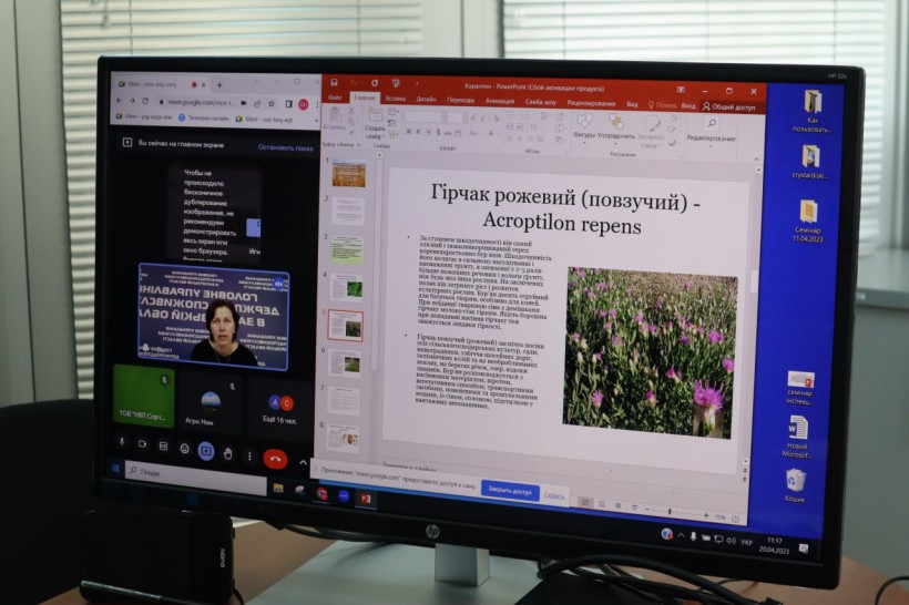 На малюнку - екран монітора з фото жінки та сторінкою презентації