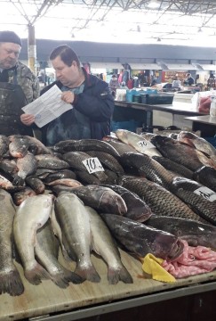 На малюнку - два чоловіки біля прилавку зі свіжою рибою