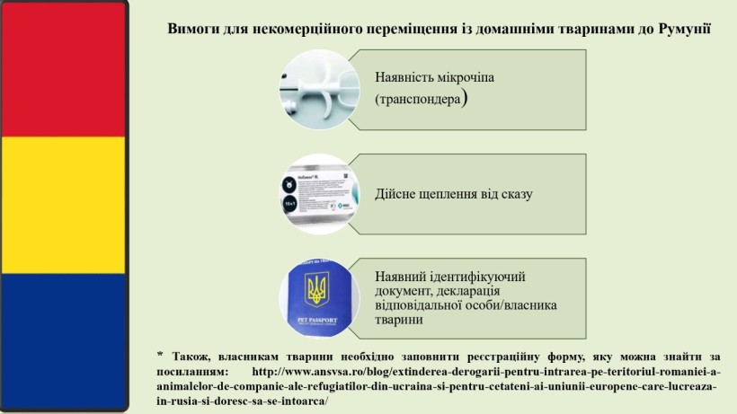 на малюнку зображено текст