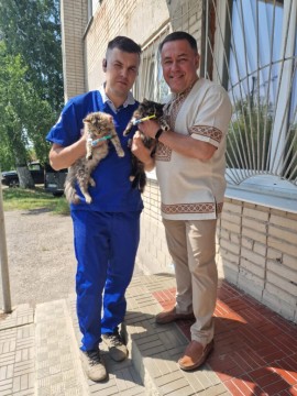 на фото - два чоловіки тримають кошенят