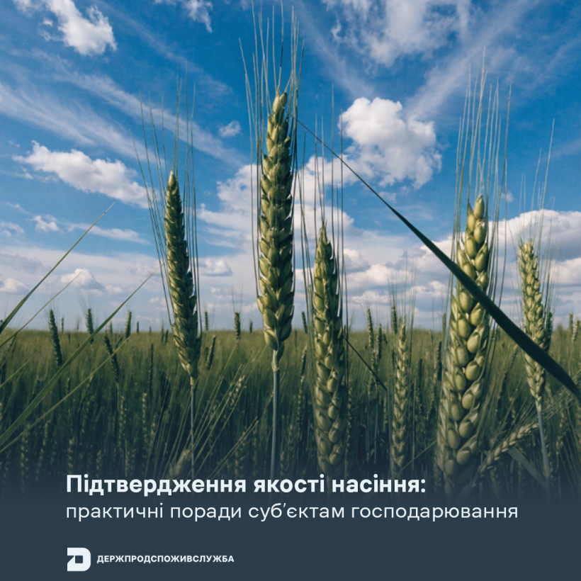 Підтвердження якості насіння: практичні поради суб’єктам господарювання