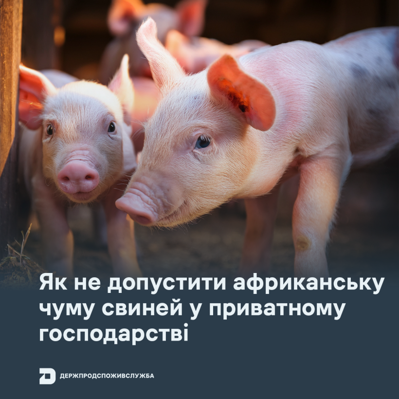 https://dpss.gov.ua/storage/app/resources/resize/820_360_0_0_auto/img_871cfacd88e339250892b91965142f07.png