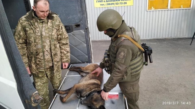 На малюнку зображено як лікар ветеринарної медицини здійснює обстеження тварин