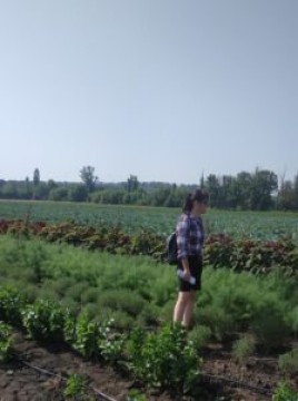 на фото людина на полі
