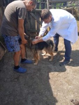на фото дві людини і собака