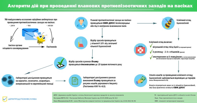 На інфографіці зображено алгоритм дій щодо щорічних протиепізоотичних заходів на пасіках