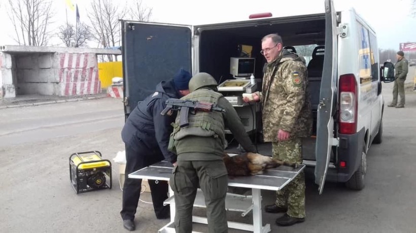 На малюнку зображено як лікар ветеринарної медицини здійснює обстеження тварин