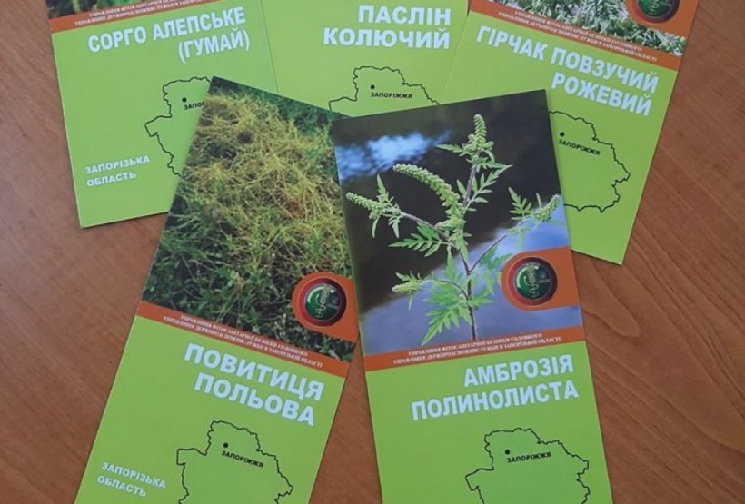 на фото брошури