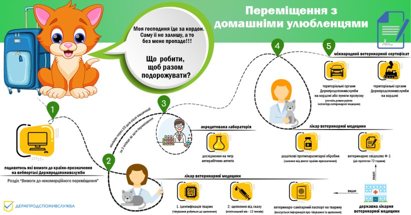 Інфографіка, на якій коротко розписані кроки для того щоб подорожувати з домашньою твариною