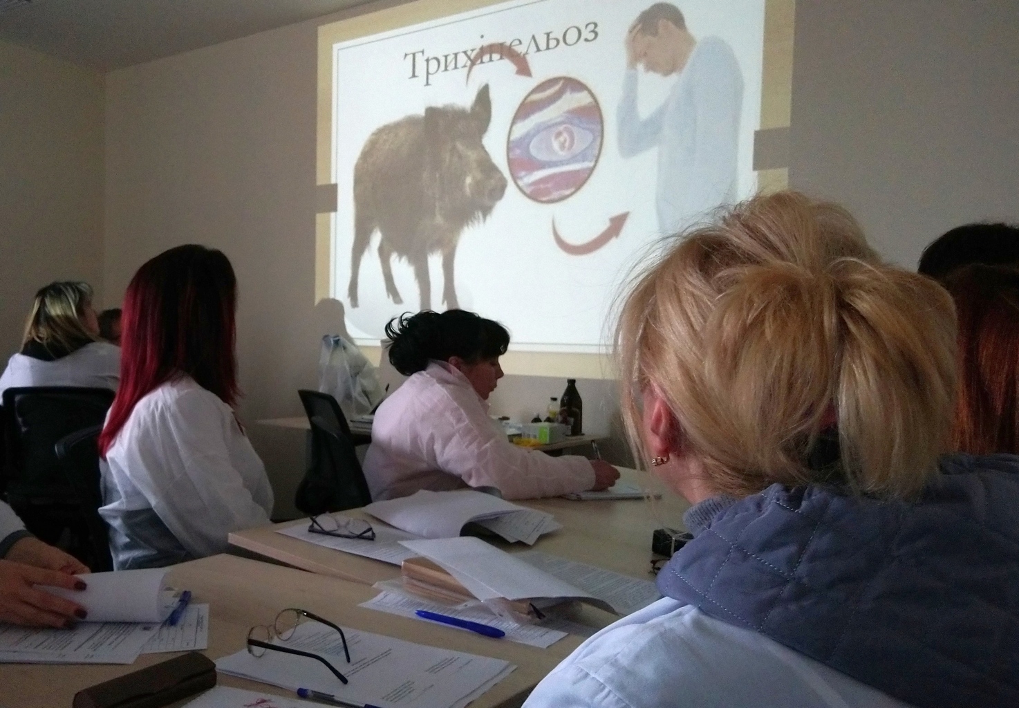 На малюнку учасники семінару в білих халатах дивляться слайд із зображенням дикого кабана.