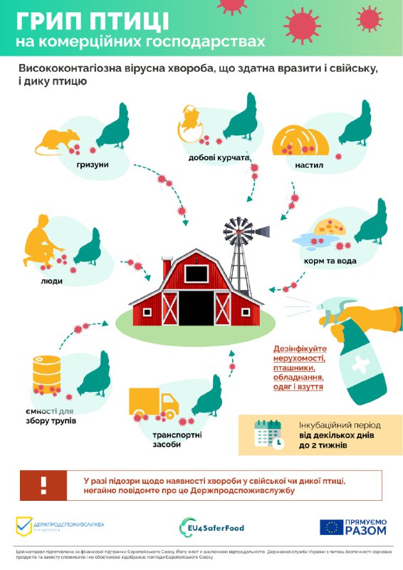 На малюнку зображено шляхи зараження птиці на комерційних господарствах