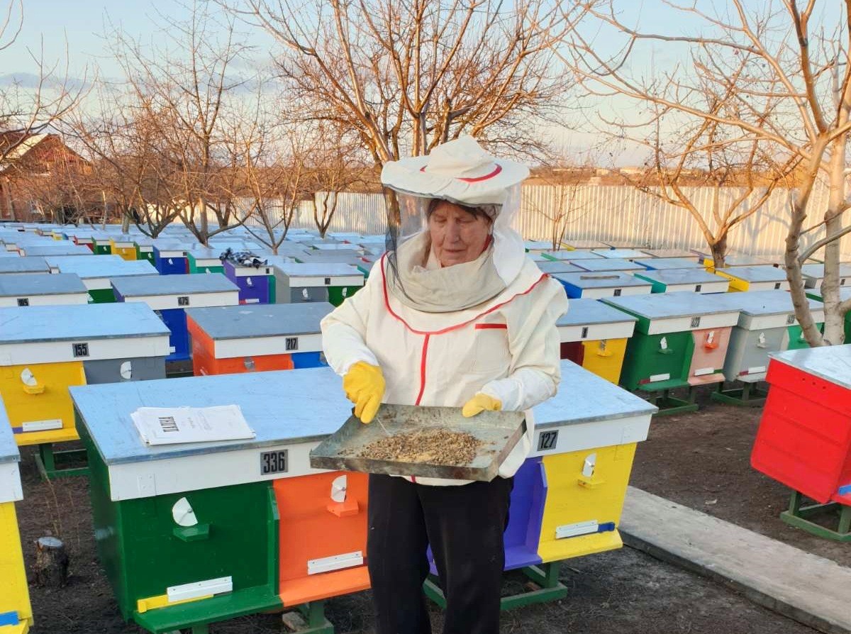 На малюнку зображено різнокольорові вулики і фахівця в спецодязі, що тримає рамку з бджолами