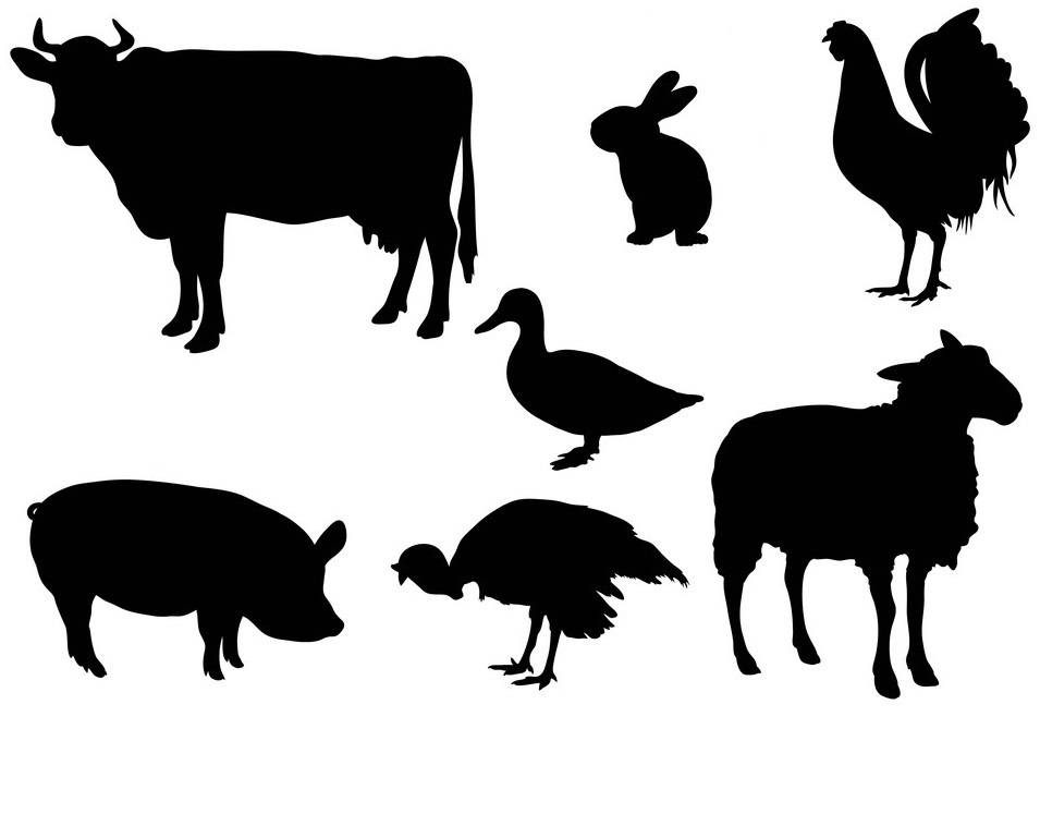 На малюнку зображені силуети свійських тварин: корови, кролика, півня, качки, свині, індика, барана.