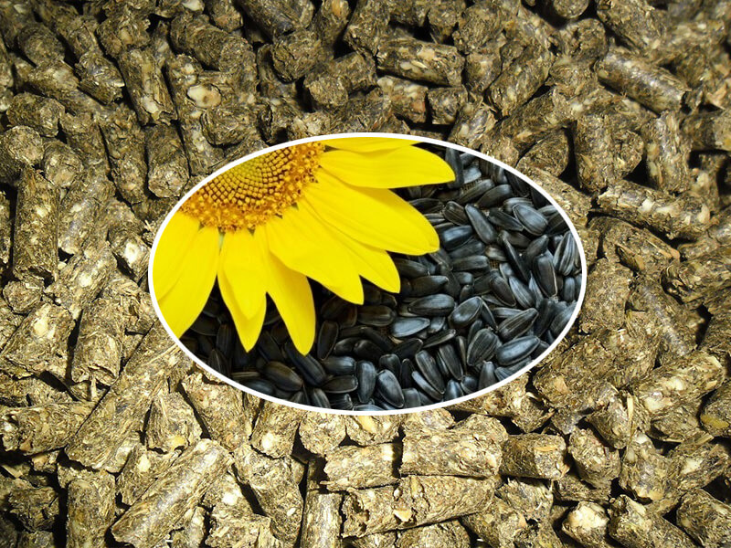 На малюнку зображено квітку соняшника і насіння на фоні шроту