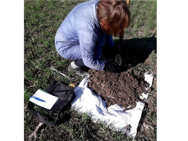 На малюнку жінка відбирає проби ґрунту