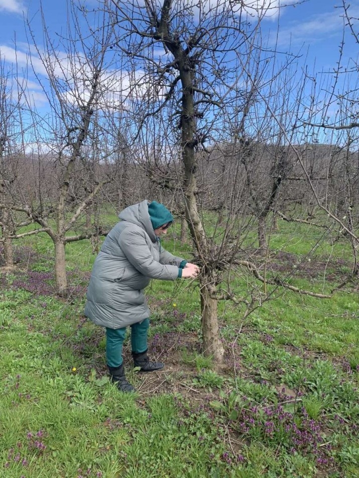 На малюнку - жінка біля дерева