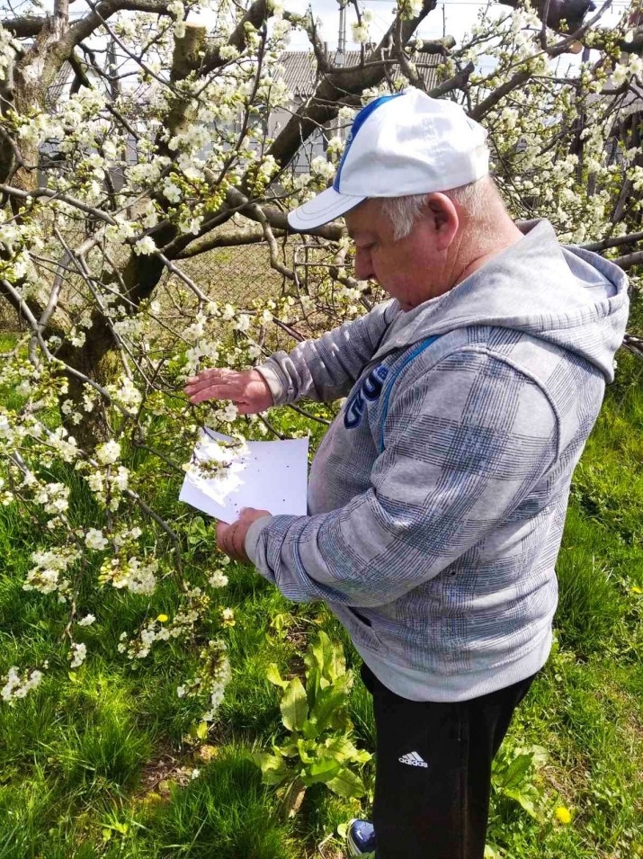 На малюнку - чоловік біля дерева