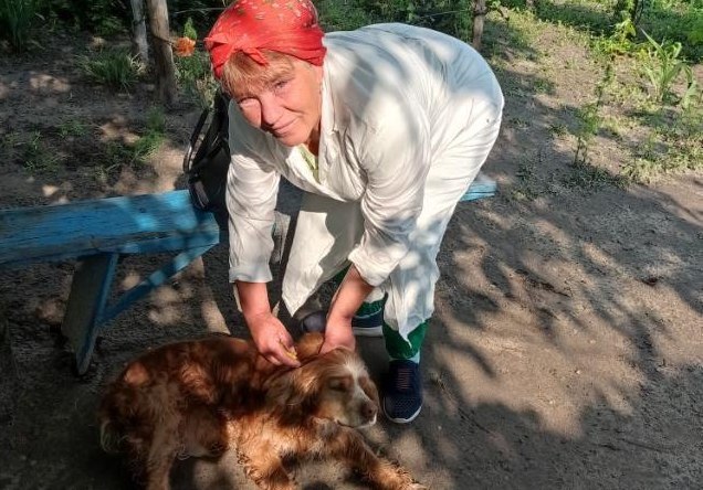На фотографії зображено як фахівці Держпродспоживслужби в Запорізькій області лікують тварин