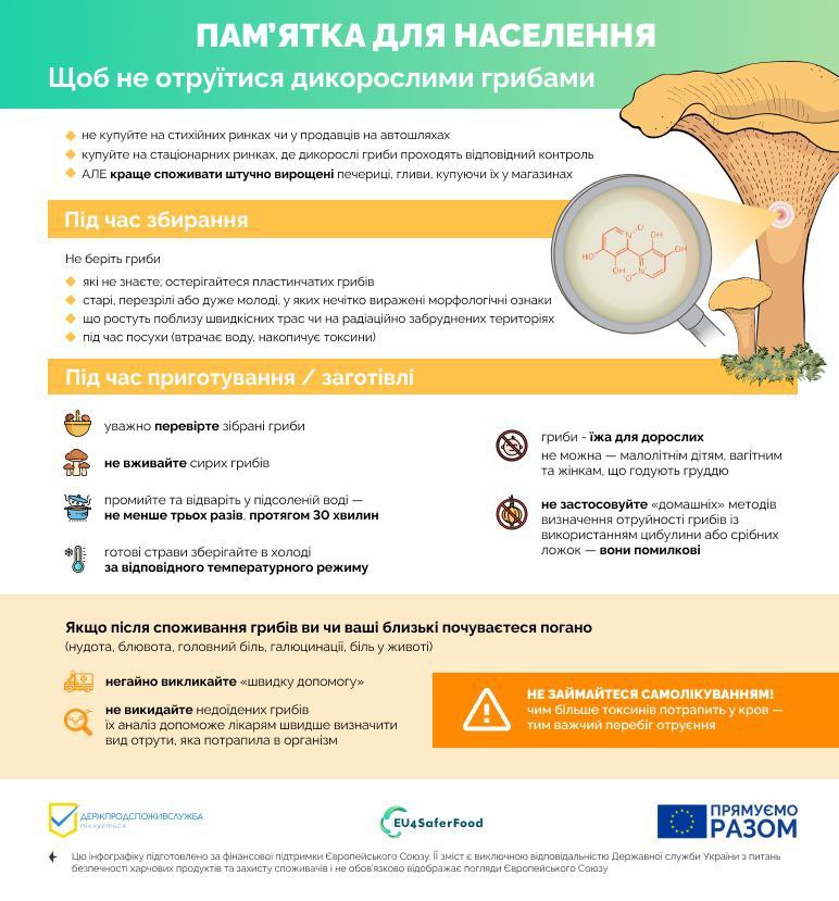 На інфографіці зображені основні рекомендації як знизити ризик отруєння грибами