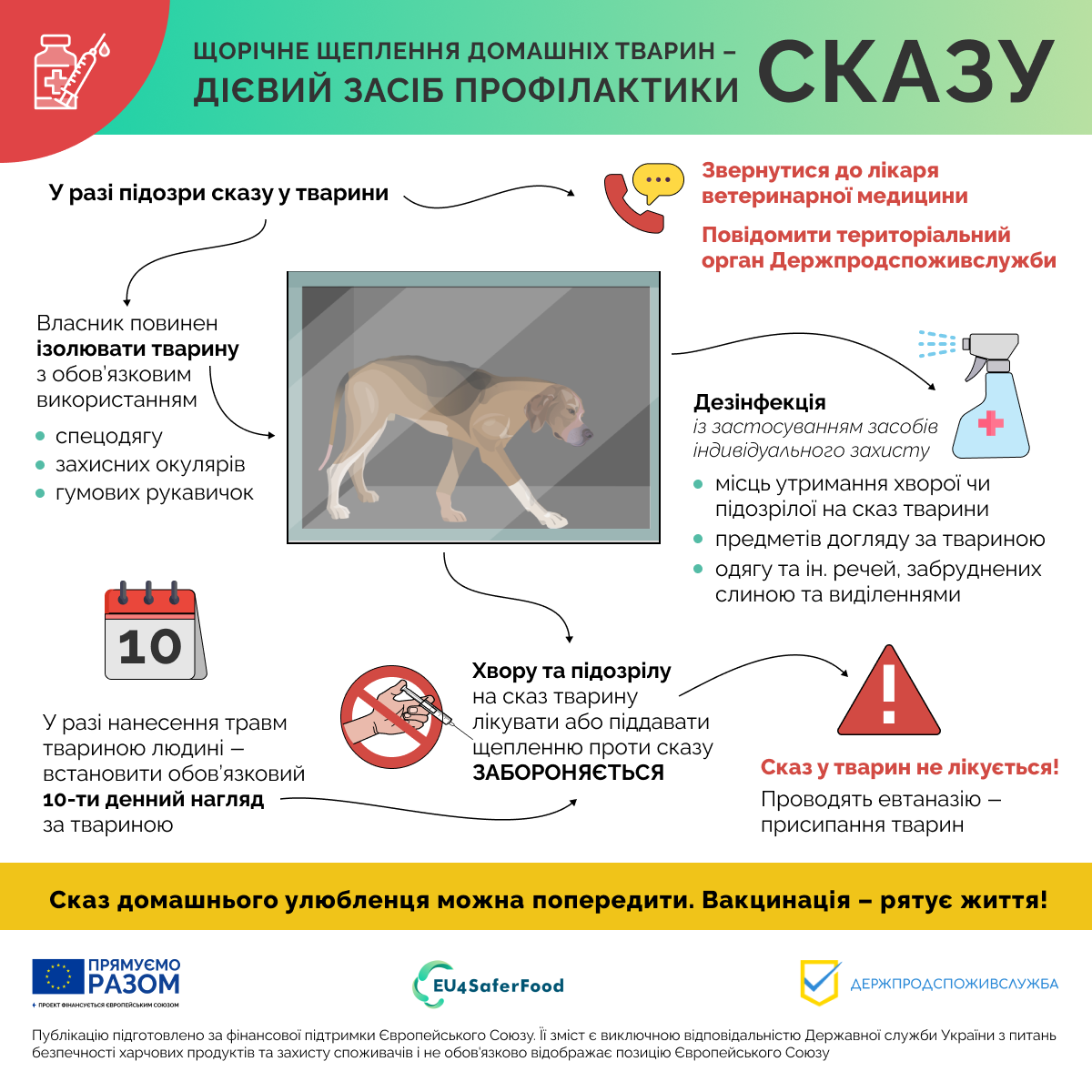 У спільній із європейським проєктом EU4SaferFood інфографіці розповідаємо про наступні кроки власника тварини у разі підозри на захворювання.