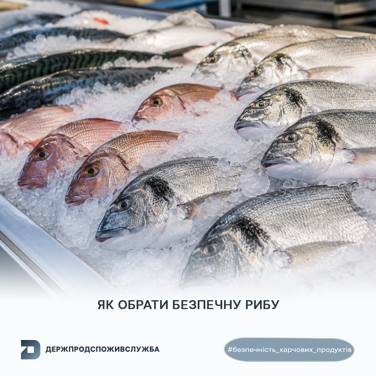 Безпечність харчових продуктів: що варто знати споживачам про безпечність  рибних продуктів | ДЕРЖПРОДСПОЖИВСЛУЖБА